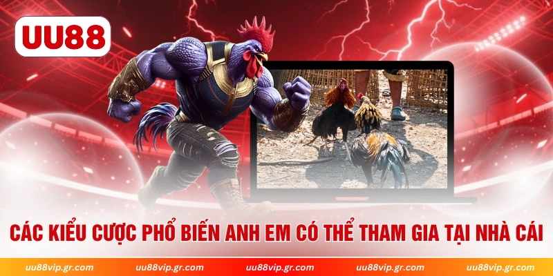  Các kiểu cược phổ biến anh em có thể tham gia tại nhà cái 