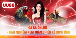 Đá Gà Online - Trải Nghiệm Xem Trận Chiến Kê Kịch Tính