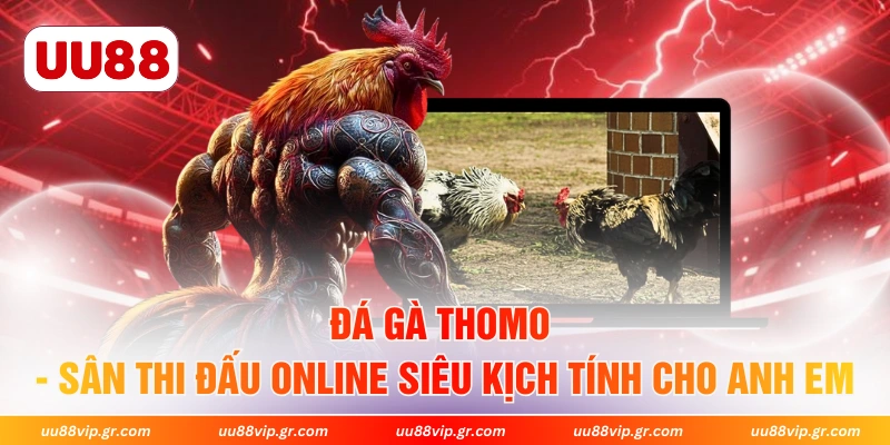 Đá Gà Thomo - Sân Thi Đấu Online Siêu Kịch Tính Cho Anh Em 