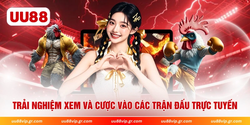 Trải nghiệm xem và cược vào các trận đấu trực tuyến 